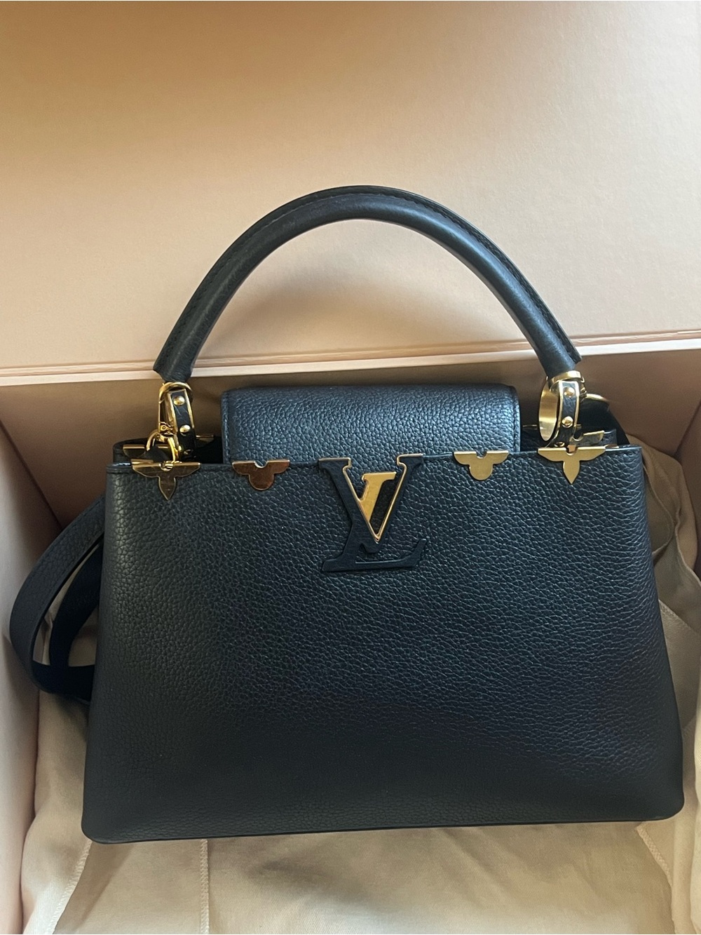 Louis Vuitton Capucines MM Black Bag